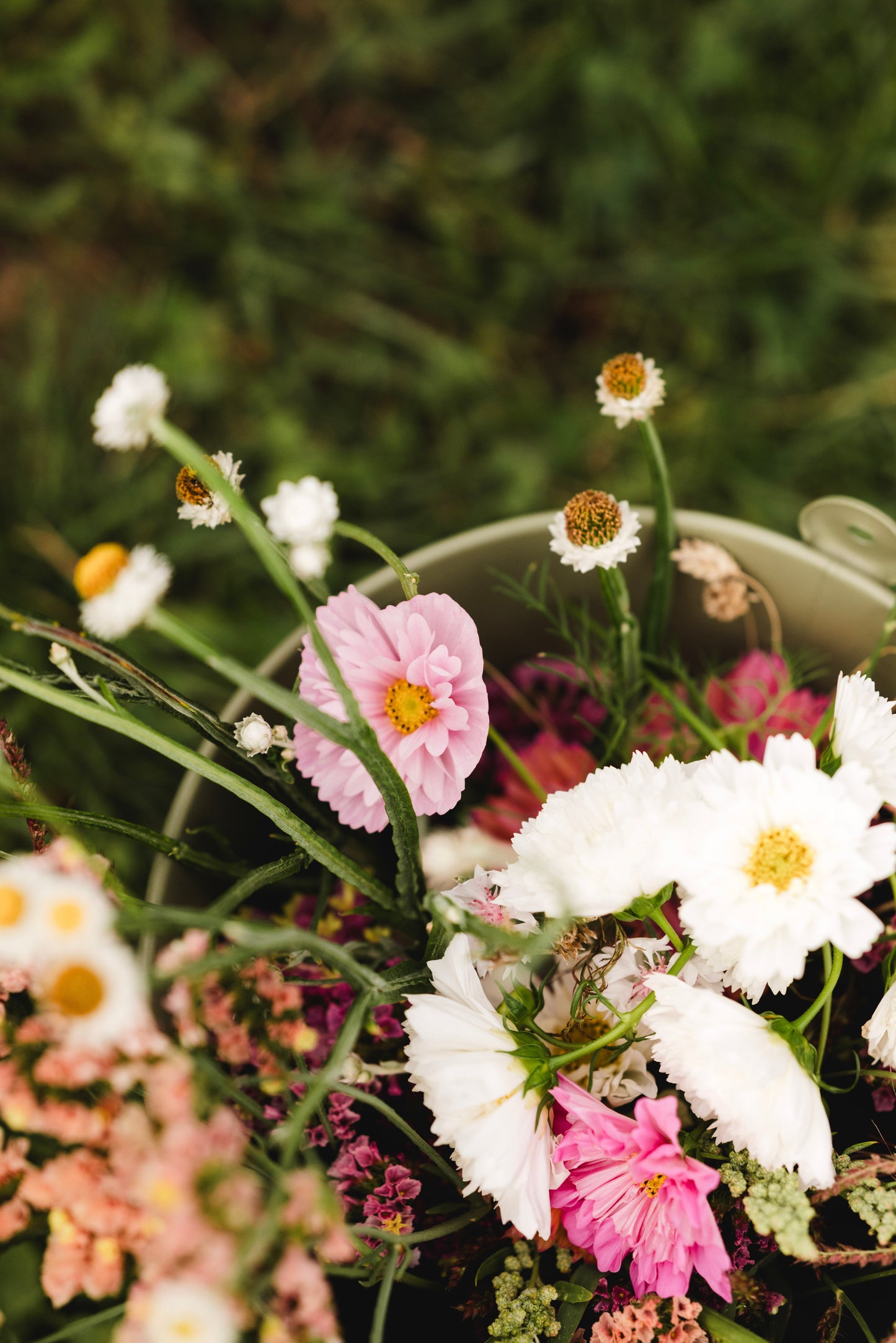 gemeinsames Blumenpflücken
