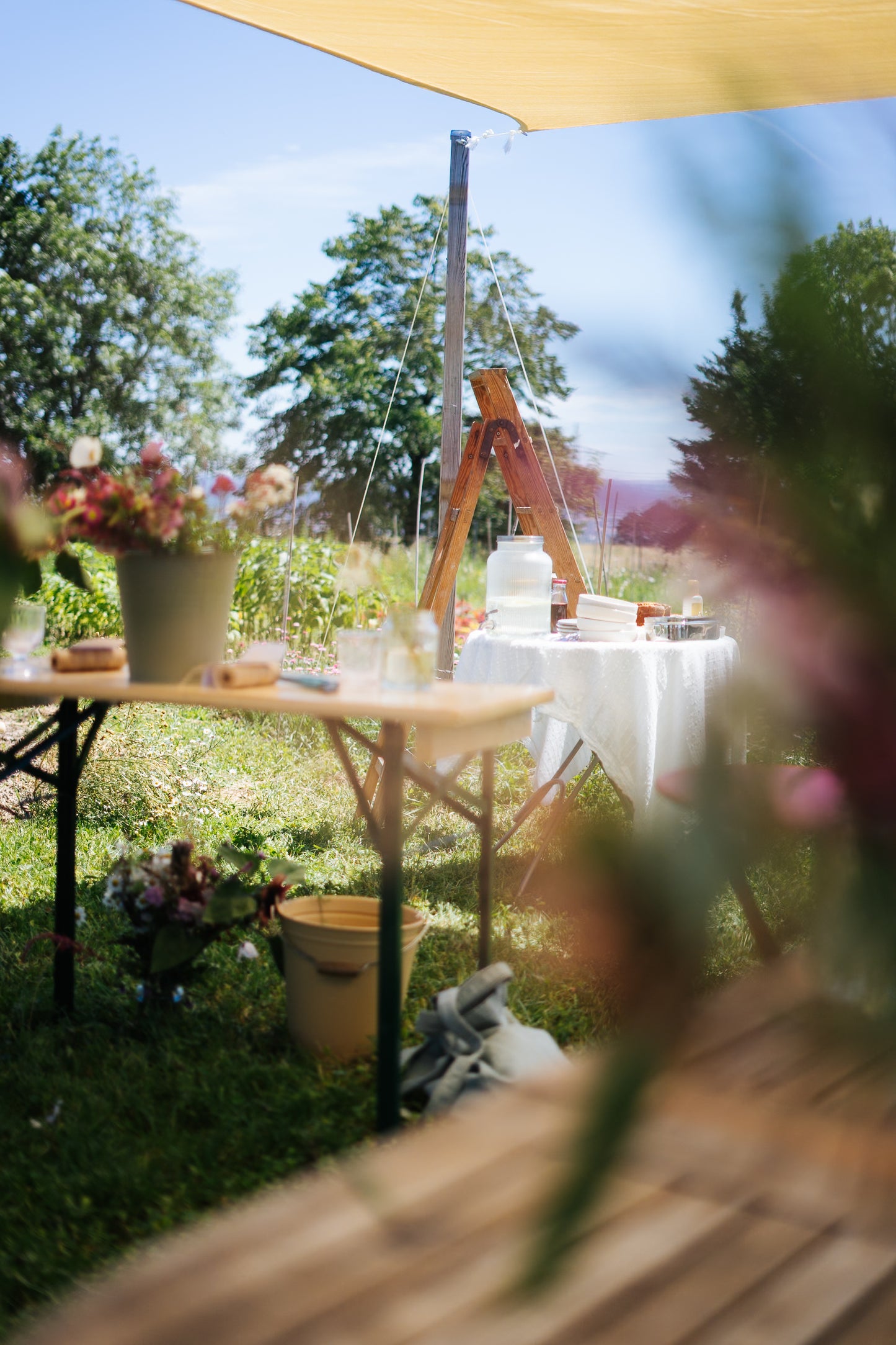 Workshop Straußbinden GRUNDLAGEN